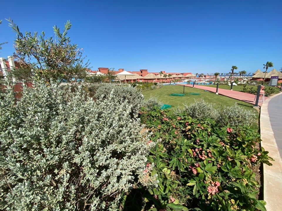 Ausblick Pickalbatros Laguna Vista Hotel