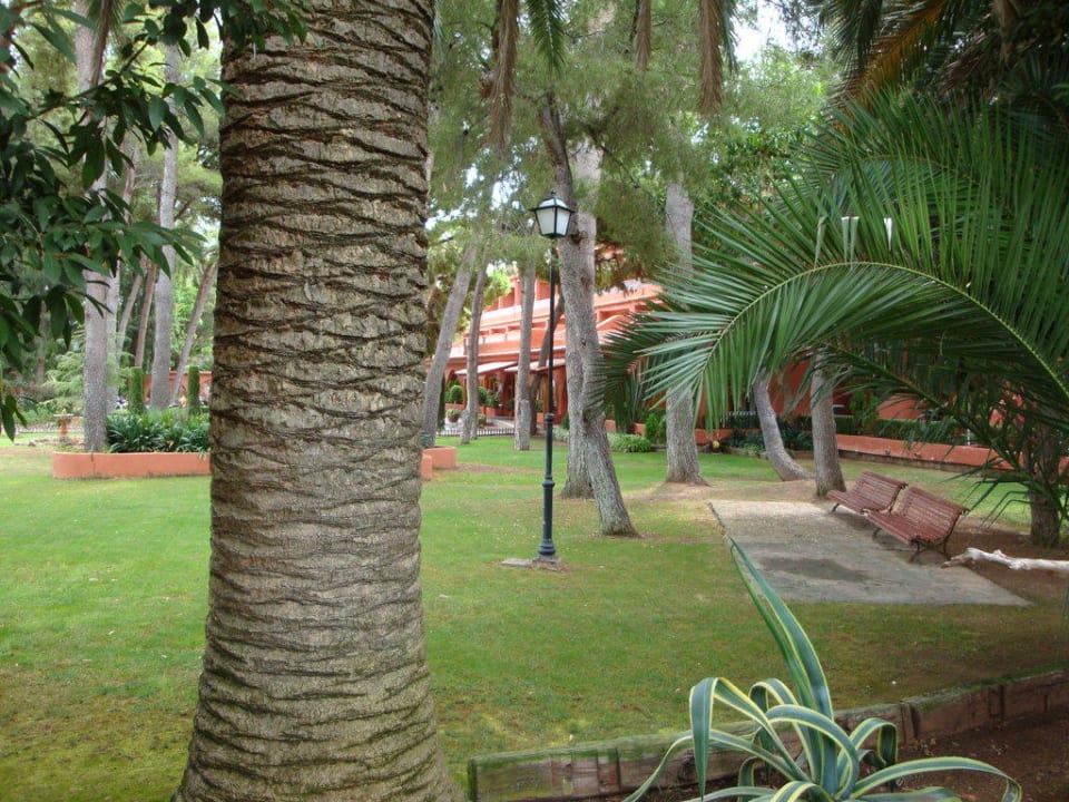 Viele Bäume, wenig Licht Hotel Intur Bonaire