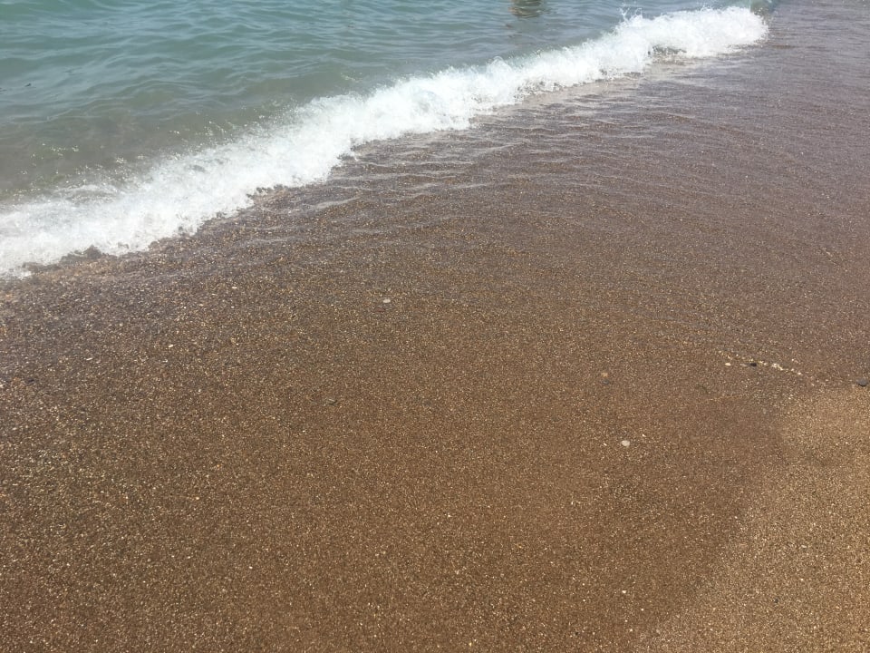 Strand Royal Seginus