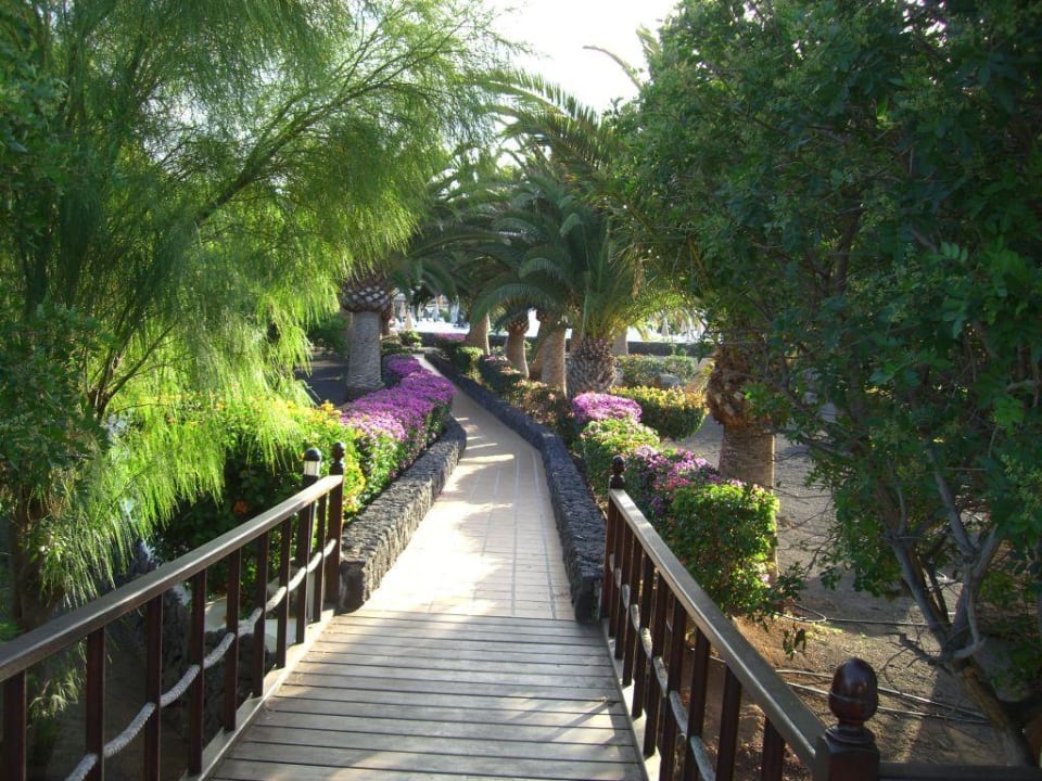 Weg von den Appartements zum Hotel Relaxia Olivina