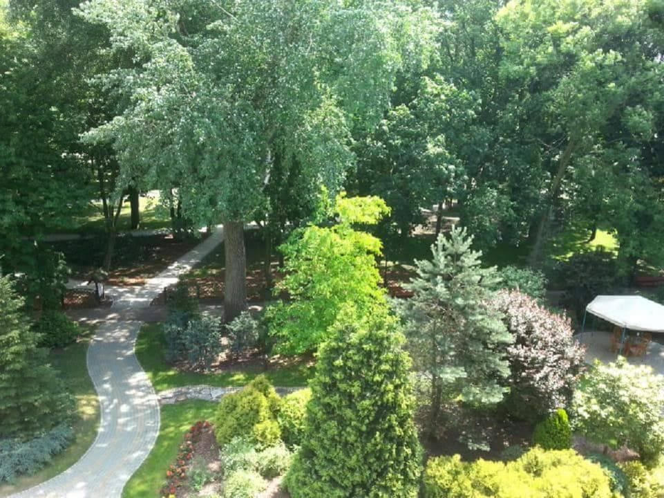 Widok na ogród i park Villa Park Med. & SPA