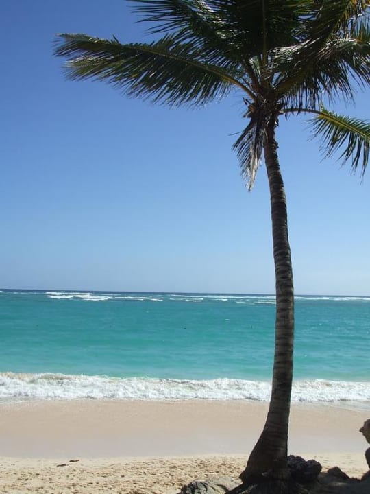 Postkartenmotiv  Grand Palladium Select Bávaro Resort & Spa