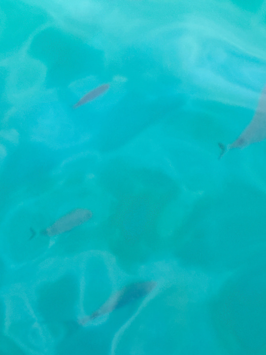 Strand La Blanche Island Bodrum