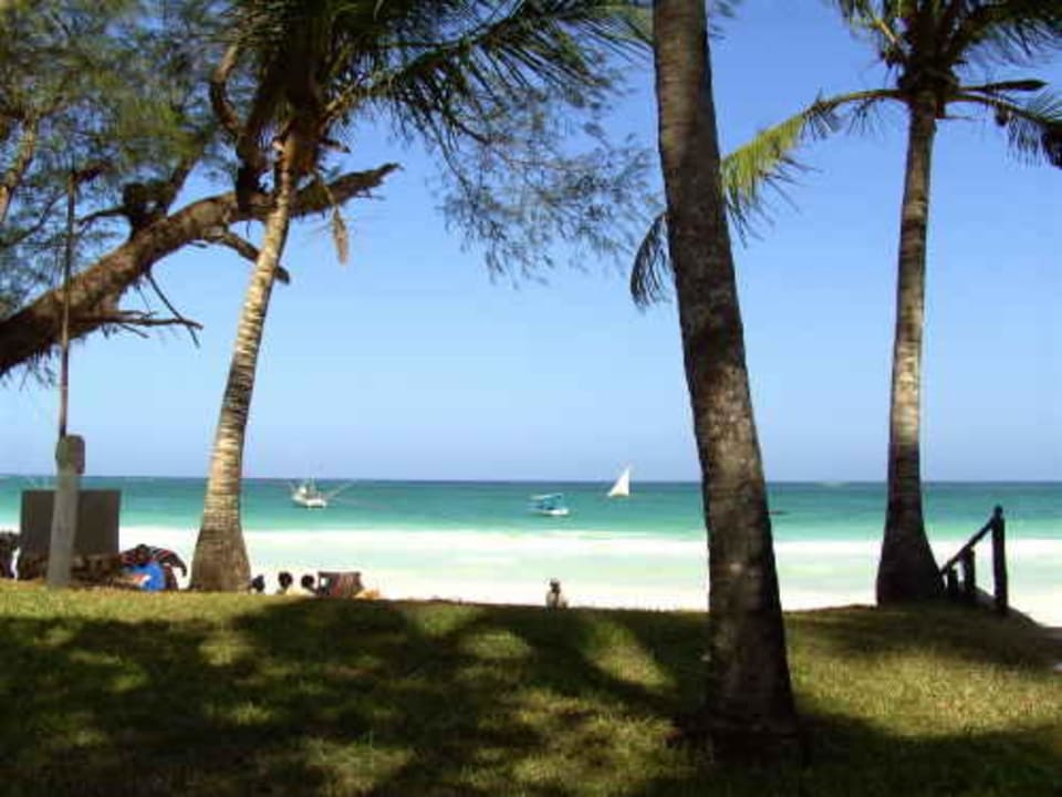 Blick auf den Strand Hotel Safari Beach
