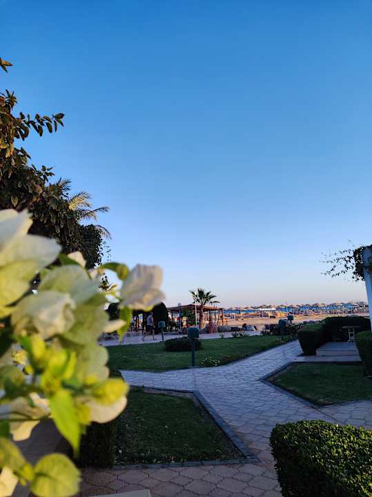 Gartenanlage Shams Safaga Resort