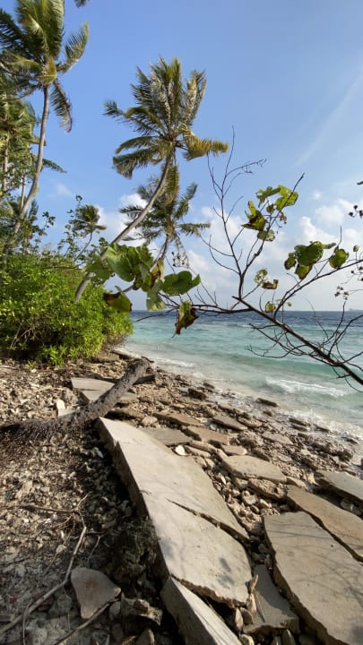 Strand Biyadhoo Island Resort