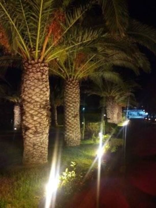 Weg zum Strand Anissa Beach & Village