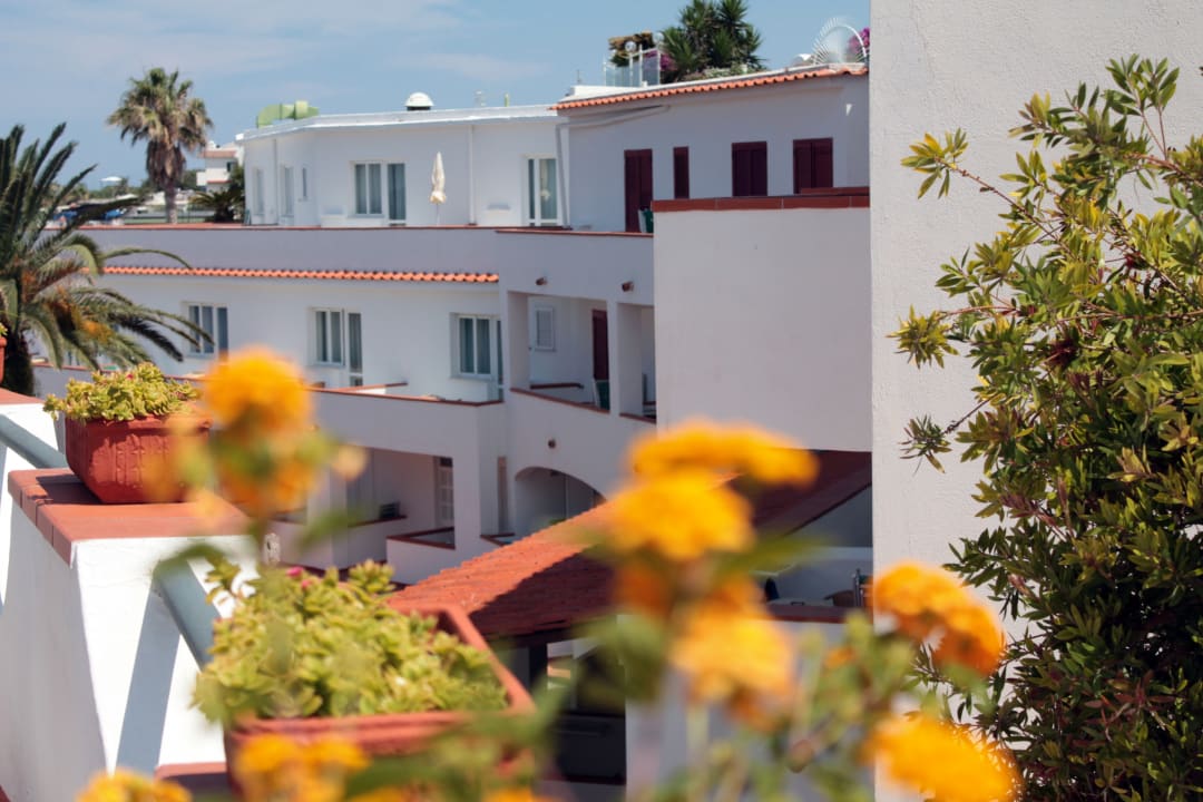 Außenansicht Hotel Terme Royal Palm