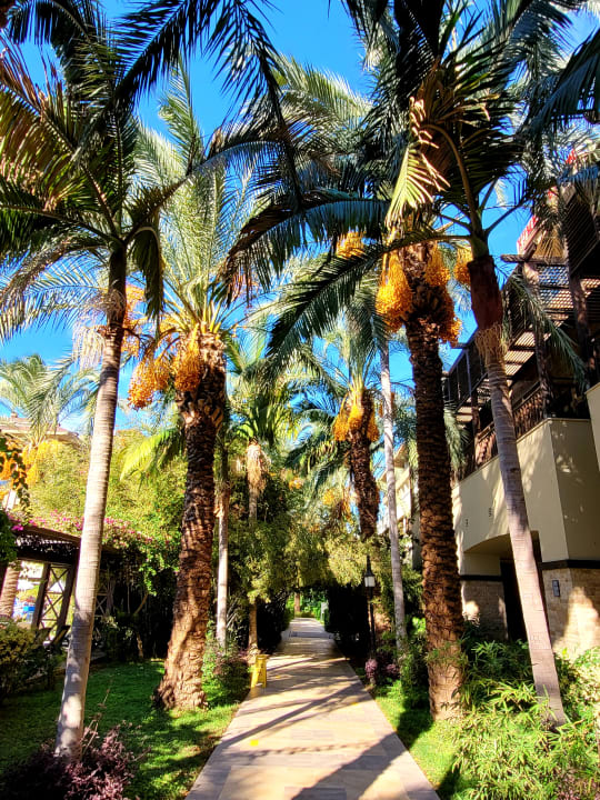 Außenansicht Sunis Kumköy Beach Resort Hotel & Spa