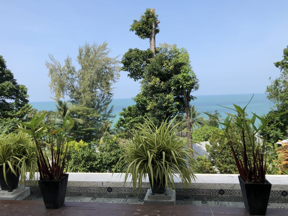 Lobby Moracea by Khao Lak Resort