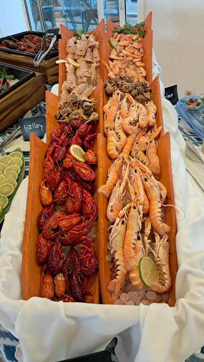 Gastro Sentido Fido Punta del Mar – Adults only