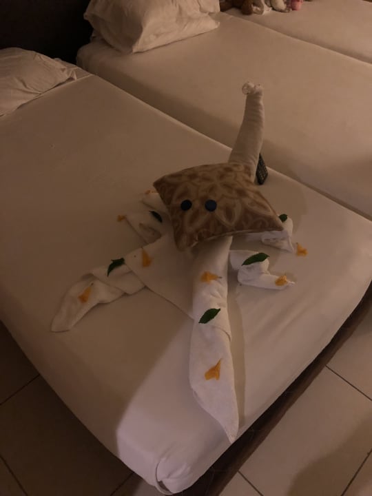 Zimmer Jaz Dar EL Madina