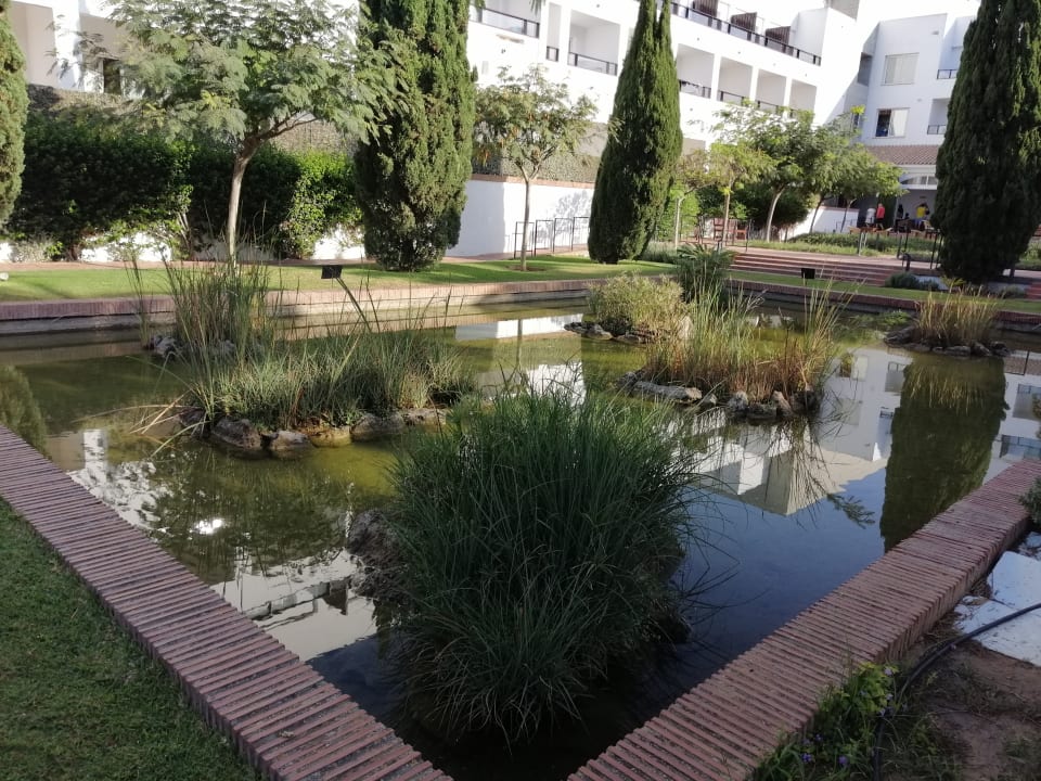 Gartenanlage Fuerte Costa Luz (Fuerte Conil-Resort)
