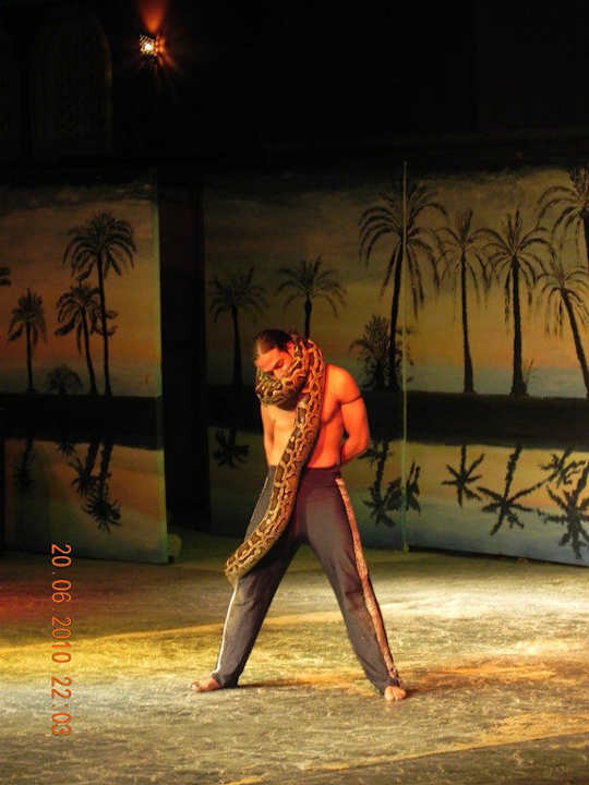 Kobra - Show Pickalbatros Alf Leila Wa Leila Resort - Neverland Hurghada