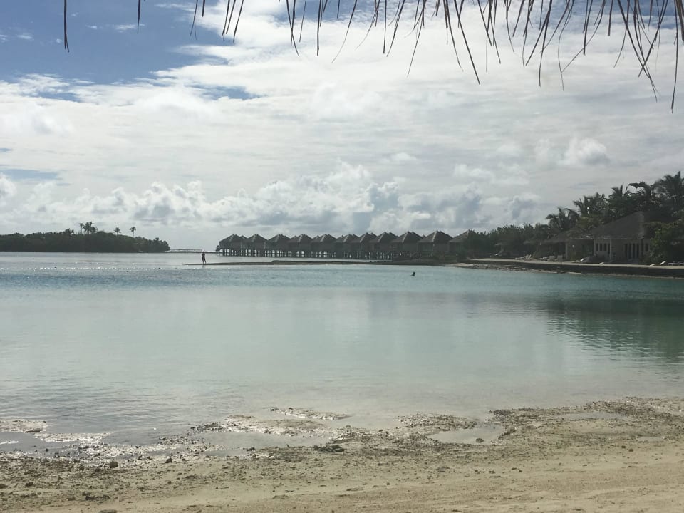 Die Lagune war schön, jedoch der EInstieg sehr  Cinnamon Dhonveli Maldives
