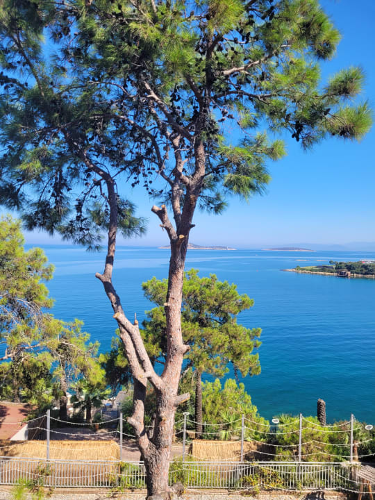 Ausblick Blue Dreams Resort & Spa
