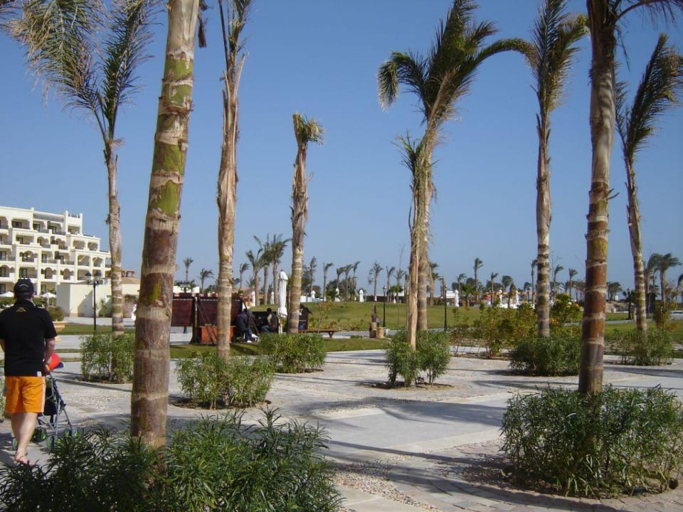 Teil des Gartens Steigenberger ALDAU Beach Hotel