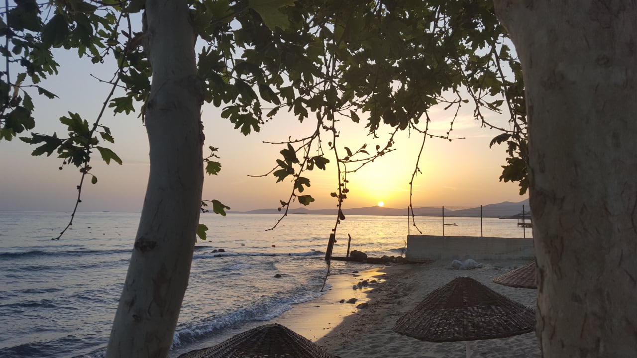 Strand Dogan Paradise Beach