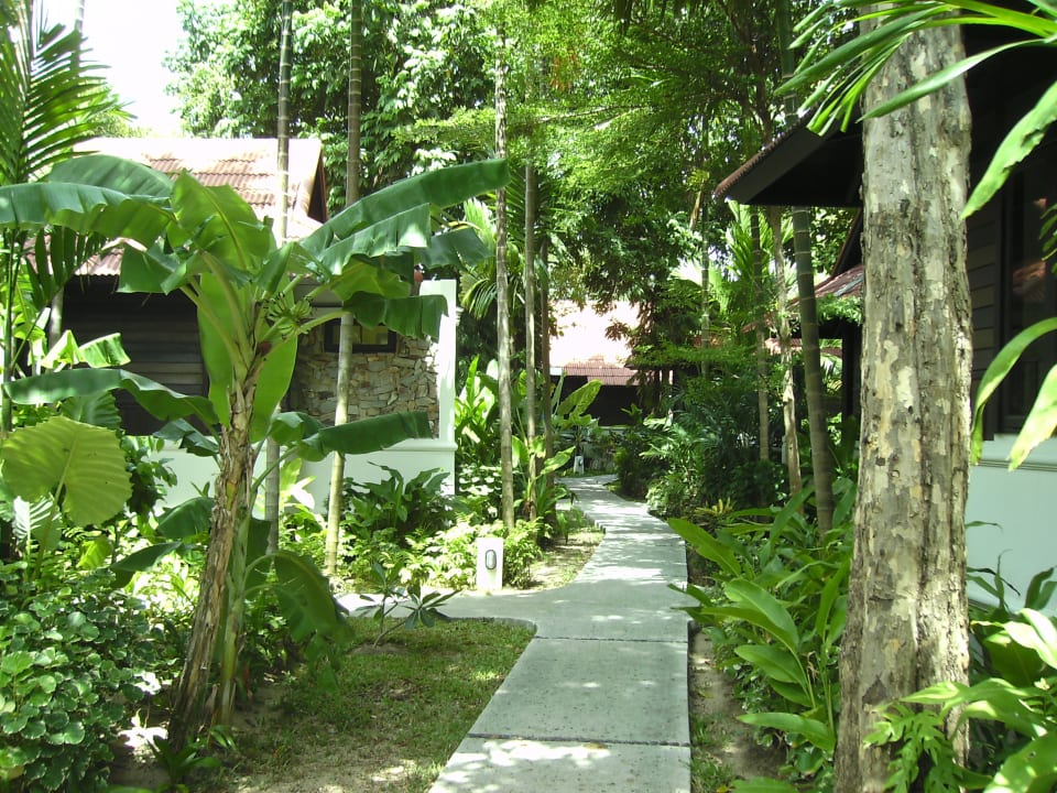 Schöne Anlage NH Collection Samui Peace Resort