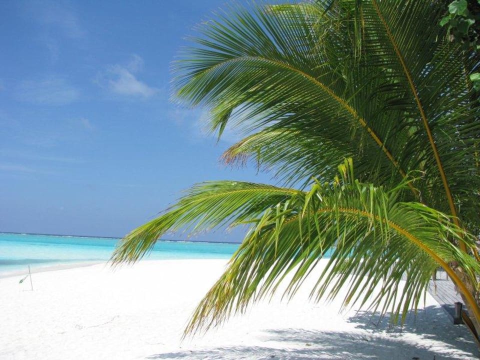 Palmen & Strand Meeru Maldives Resort Island
