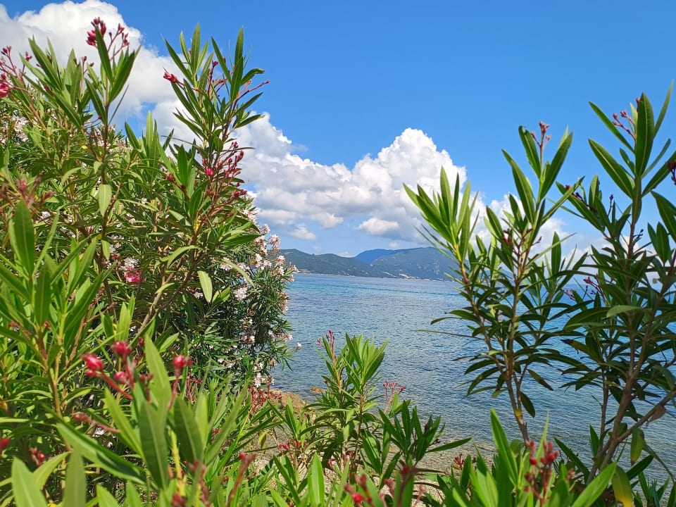 Sonstiges Hotel Albatros