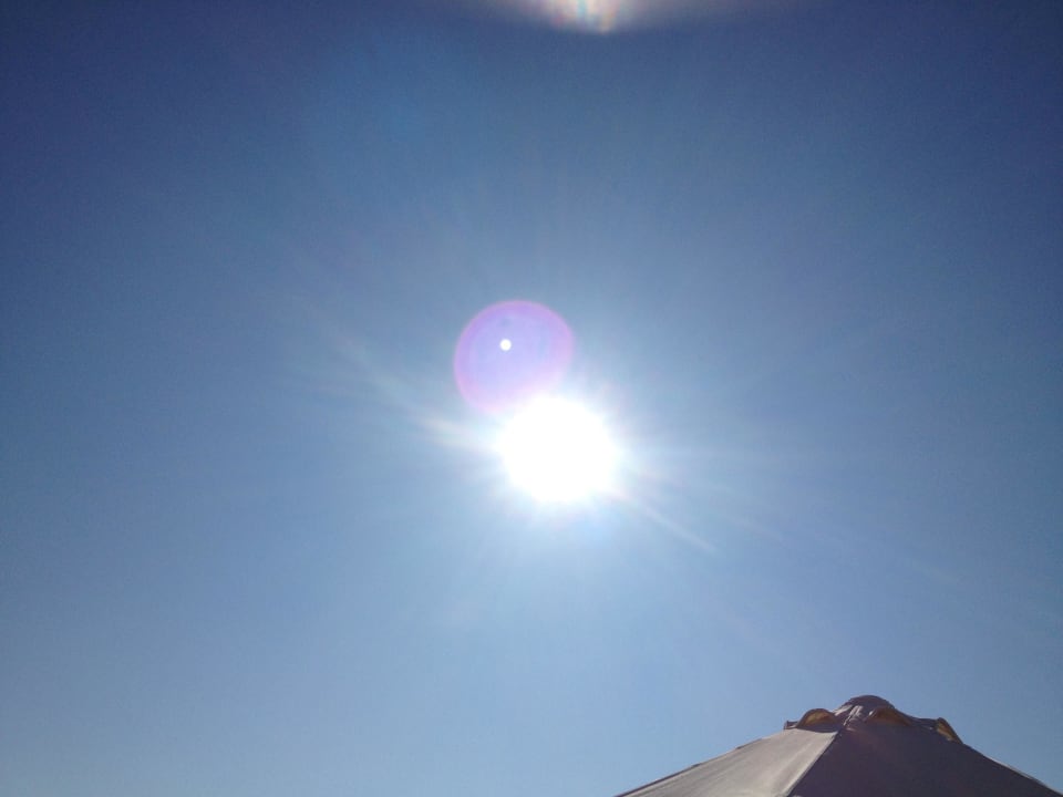 Sonne pur Arum Barut Collection