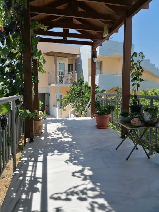 Gartenanlage Hotel Kathrin Beach