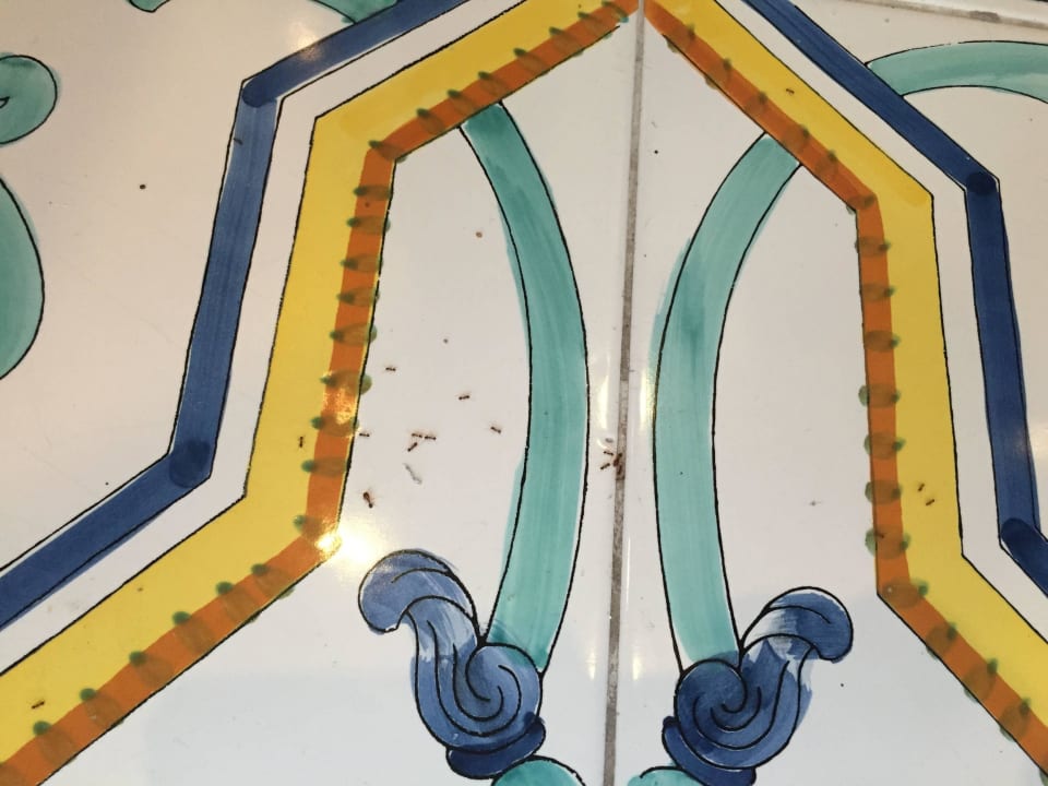 No comment... Hotel Punta Imperatore