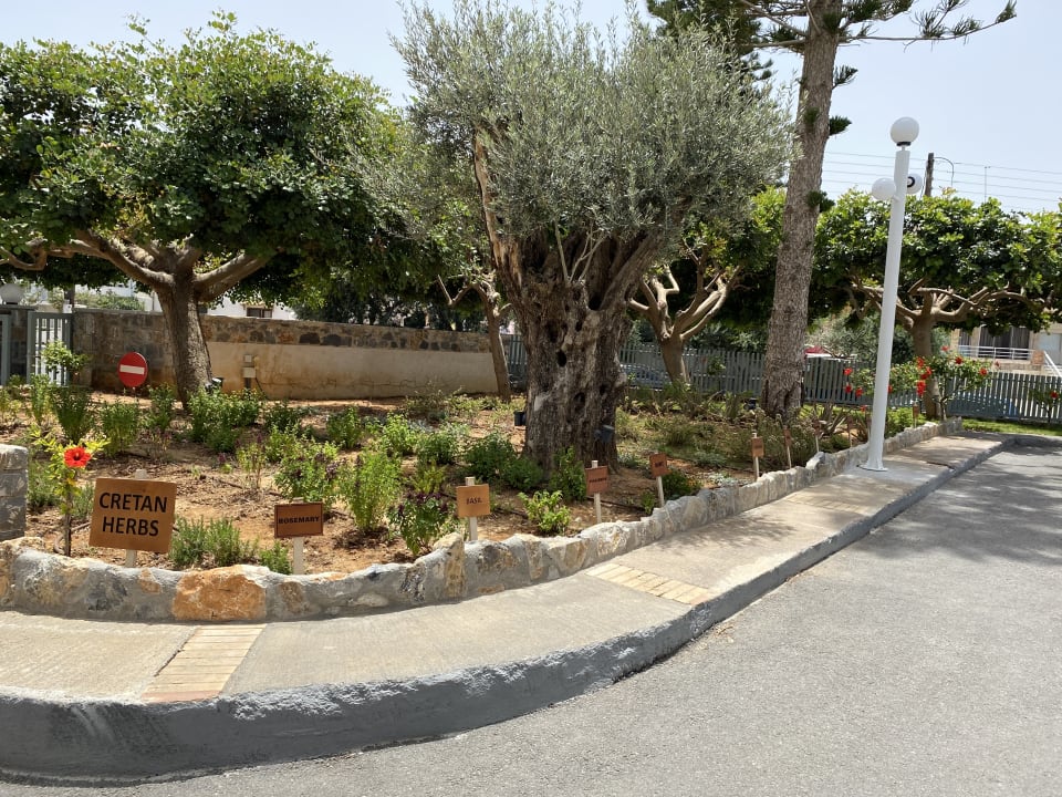 Gartenanlage Arina Beach Resort
