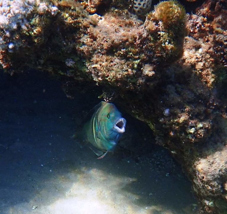 Sport & Freizeit Stella Beach Resort & Spa Makadi Bay