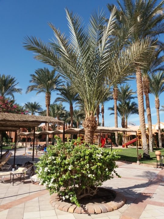 Gartenanlage Jaz Makadi Oasis Resort