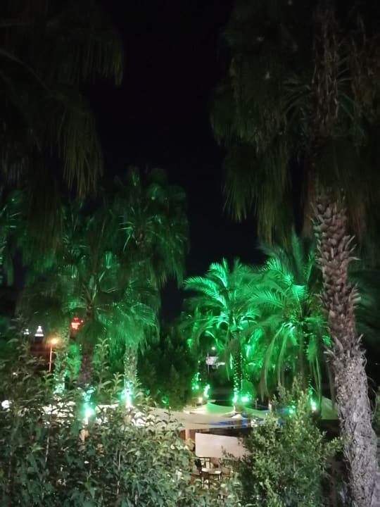 Gartenanlage Hane Family Resort