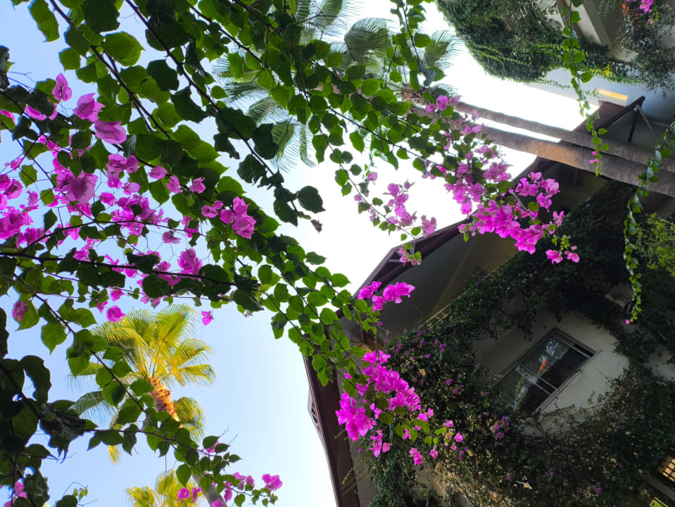 Gartenanlage Bieno Club Venüs Hotel &Spa