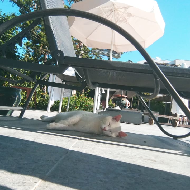 Sonstiges Belek Beach Resort Hotel