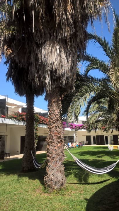 Garten mit Hängematten Hotel Dunas De Sal