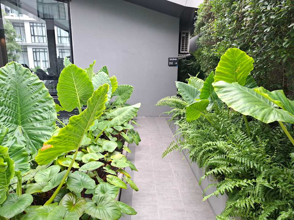 Gartenanlage Arden Hotel and Residence by At Mind
