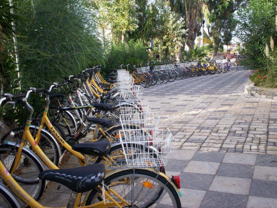Die Fahräder von den Gästen Gaia Garden Hotel