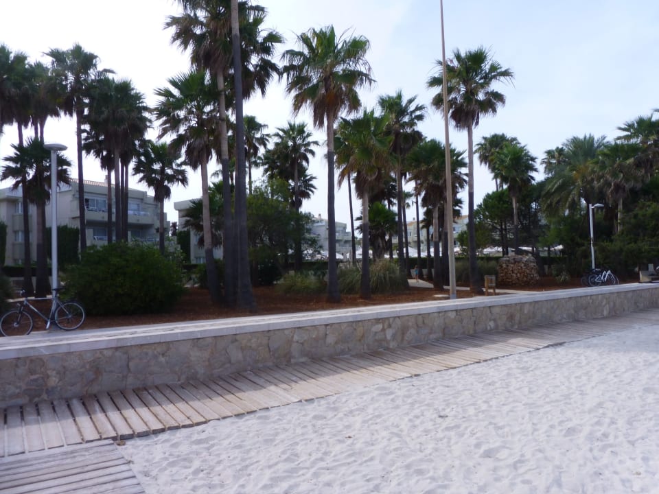 Sonstiges Hipotels Mediterraneo Club