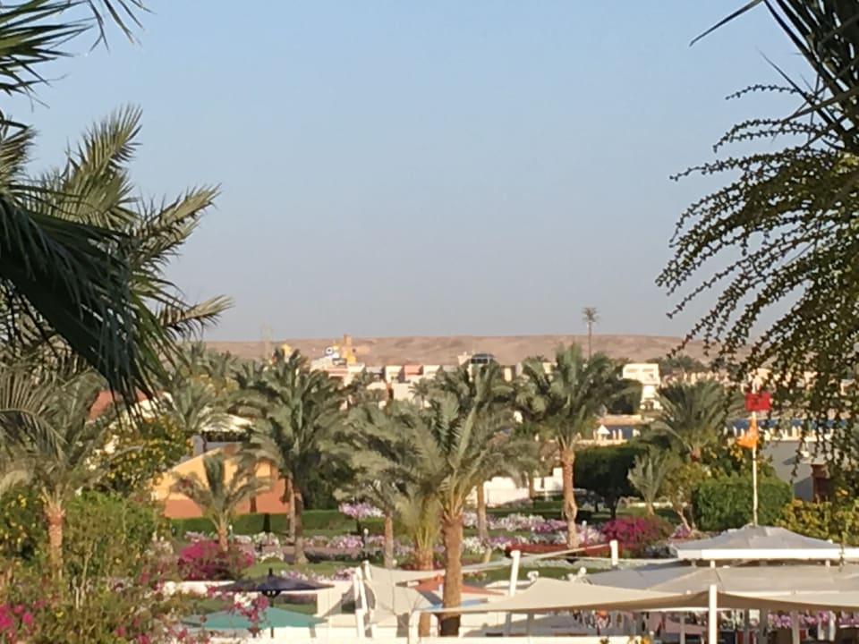 Außenansicht Desert Rose