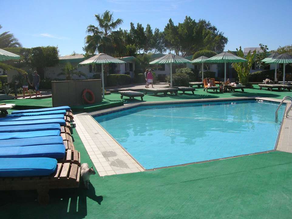 Pool Ghazala Beach