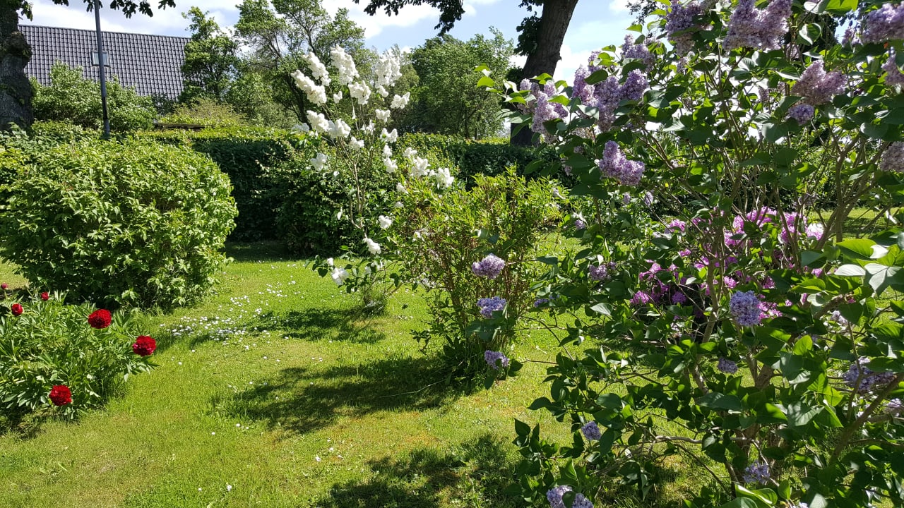Gartenanlage Urlaub auf der Insel Rügen - Ferienwohnungen Stephan