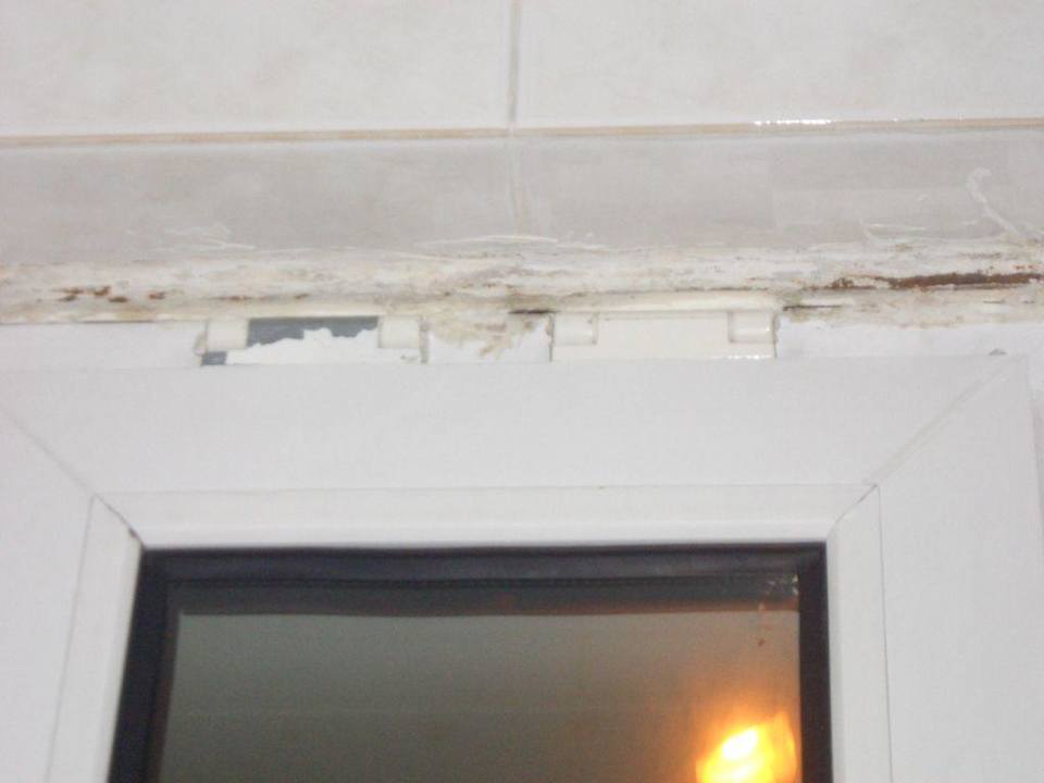 Fenster Hotel Sunlight