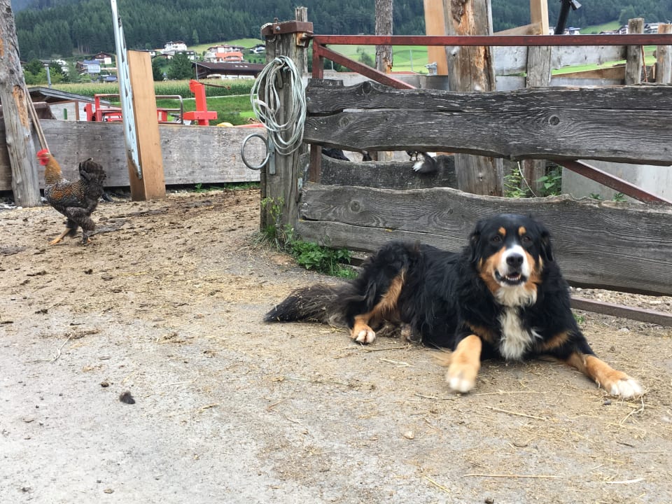 Sonstiges Pension Grubenhof