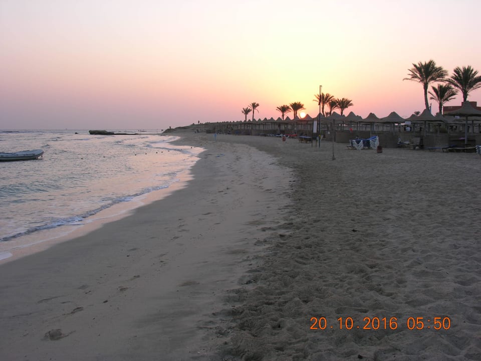 Plaża oświcie Malikia Resort Abu Dabbab