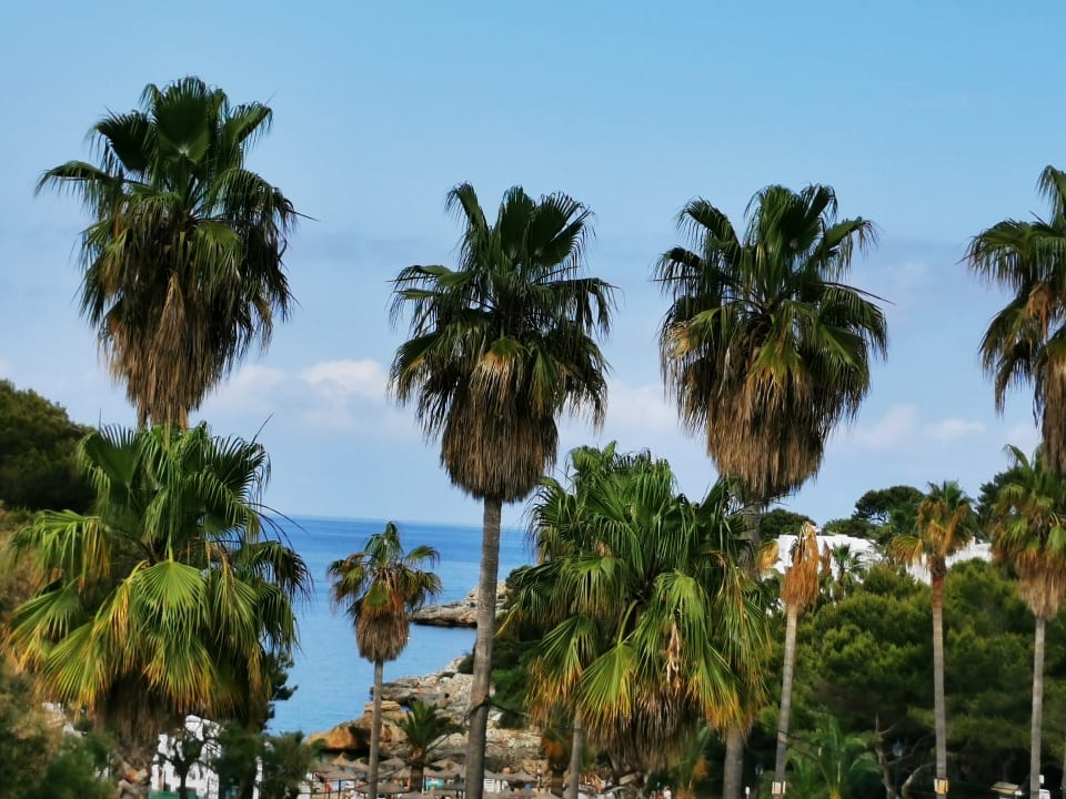 Strand Hotel Rocamarina - Adults Only