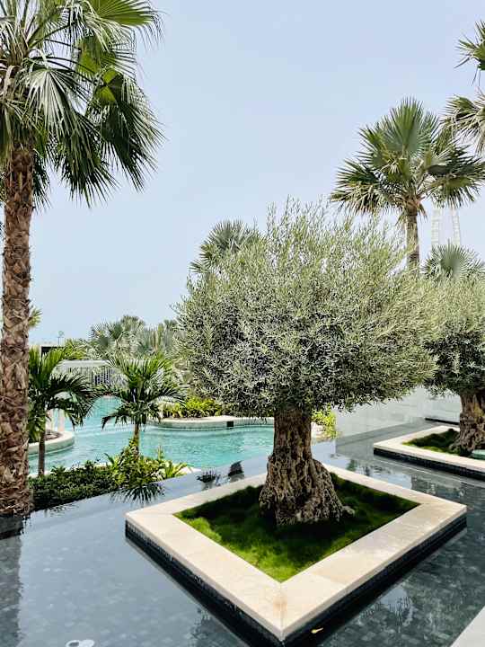 Gartenanlage Address JBR Marina Views, Address Beach Resort Residence, Dubai Marina - Mint Stay