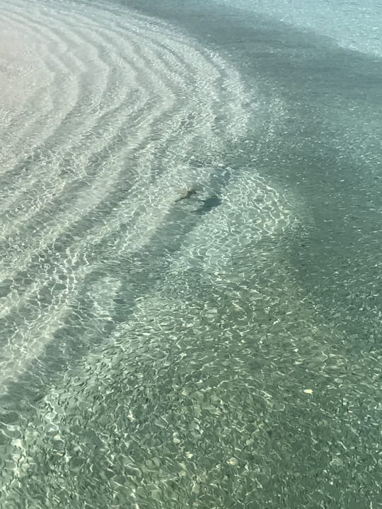 Strand Veligandu Maldives Resort Island