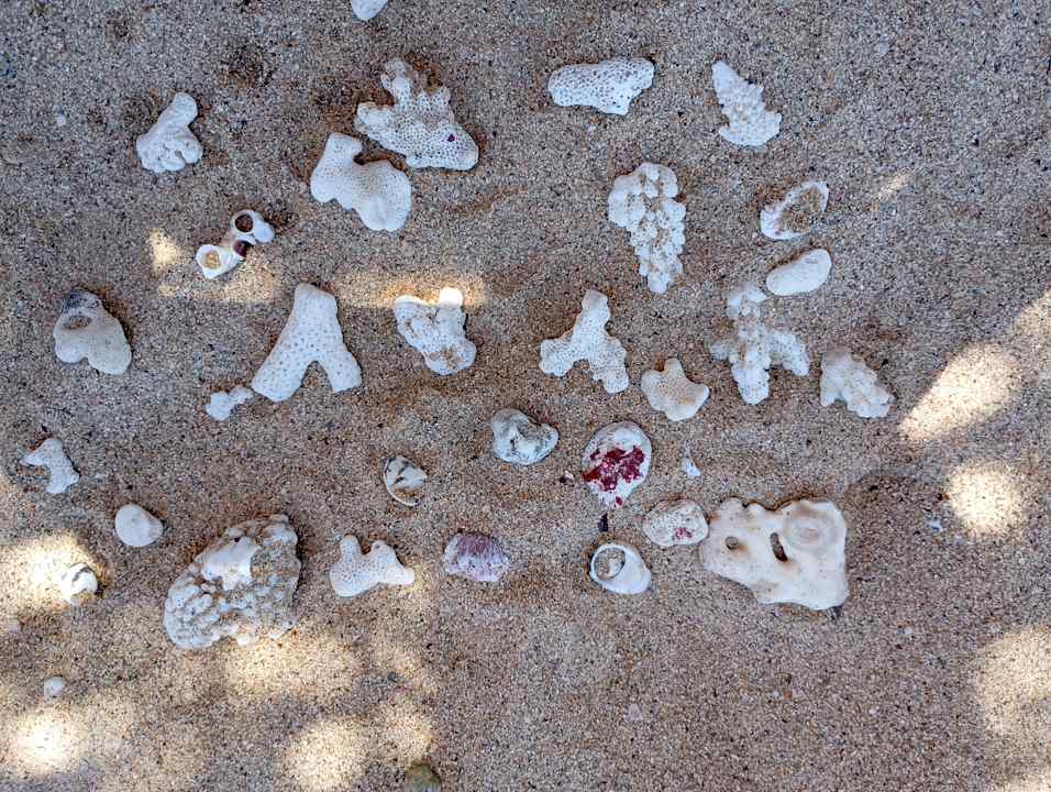 Sonstiges Coral Hills Resorts & SPA