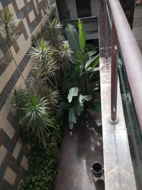 Gartenanlage Alexandre Hotel Gala