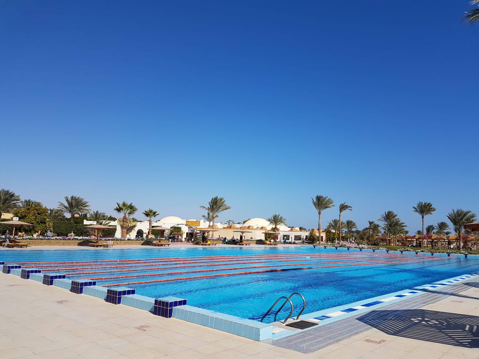 Desert Rose Resort Desert Rose